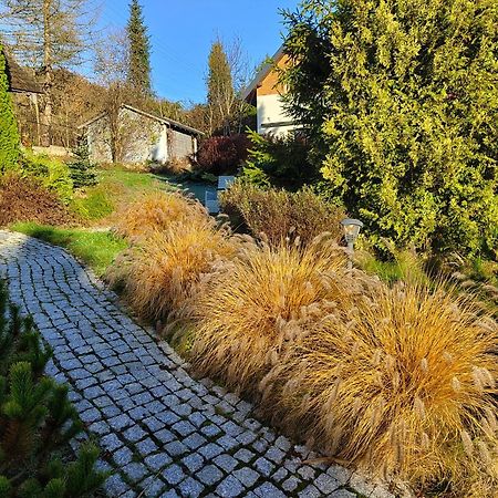 Beskid Ski Villa Wisla Exterior photo