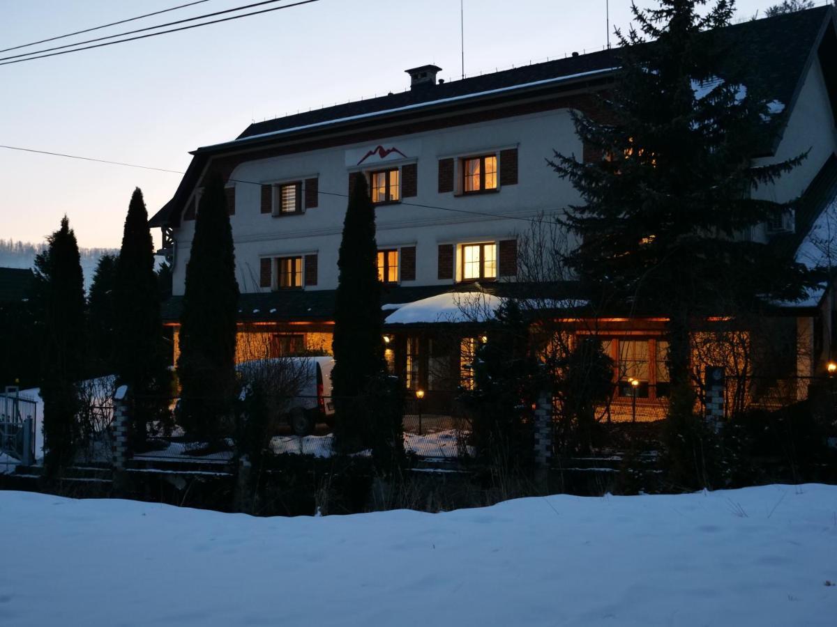 Beskid Ski Villa Wisla Exterior photo