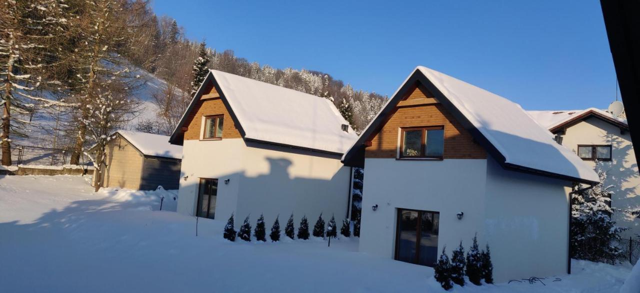 Beskid Ski Villa Wisla Exterior photo