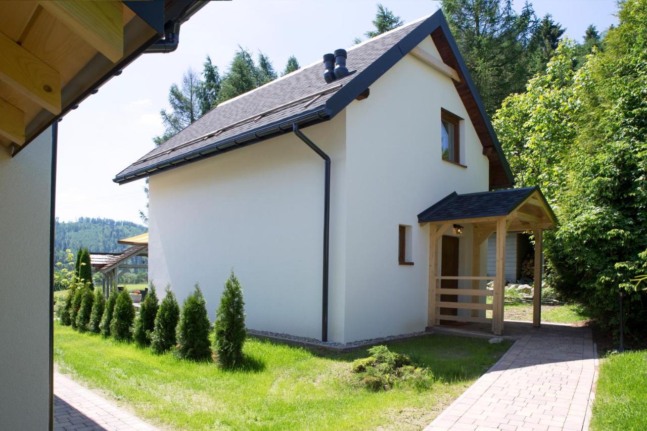 Beskid Ski Villa Wisla Exterior photo