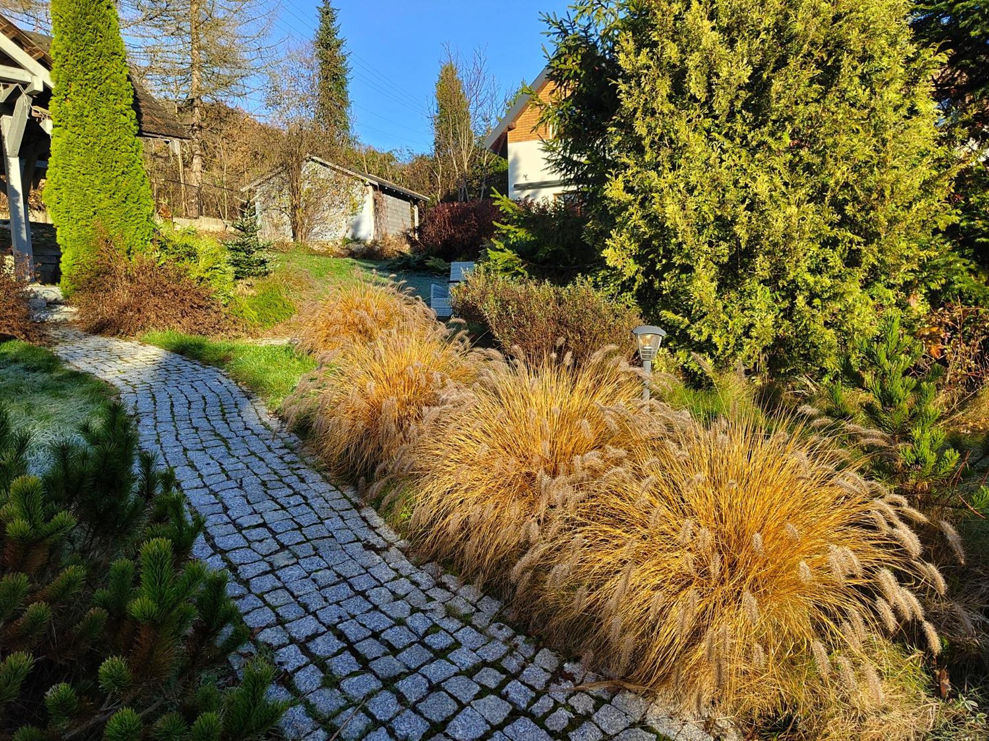 Beskid Ski Villa Wisla Exterior photo